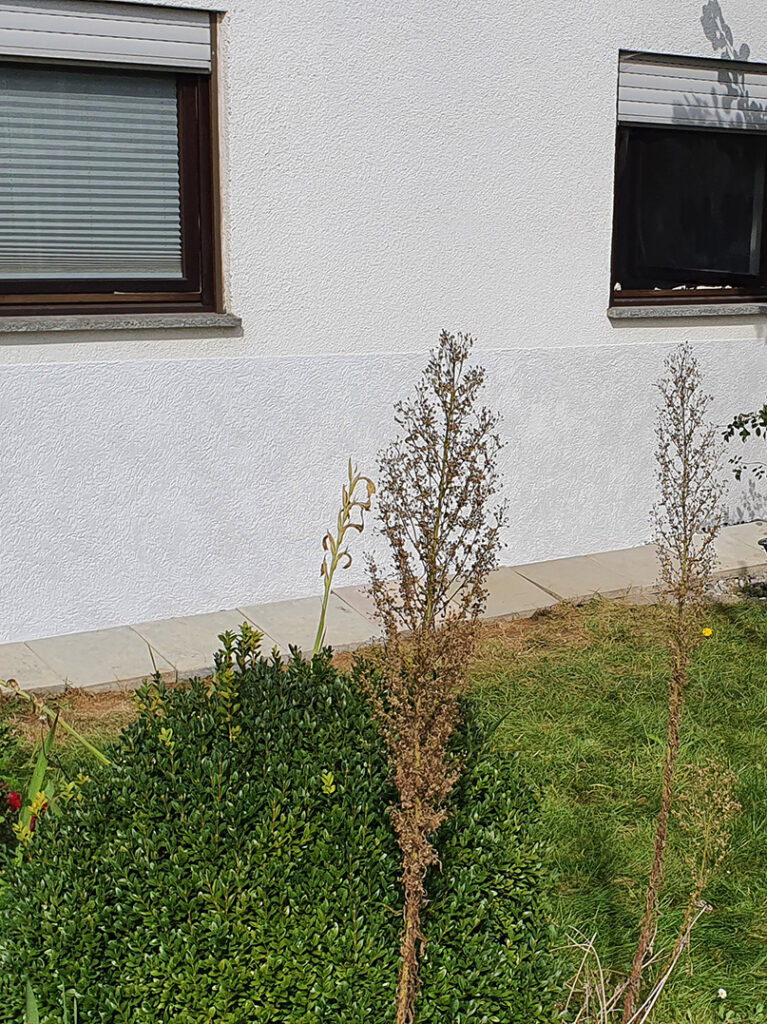 kewabo® gmbh offenburg referenzen